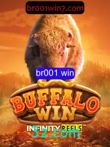 Explorando o Mundo de BuffaloWin: Entretenimento e Estratégia em Jogo